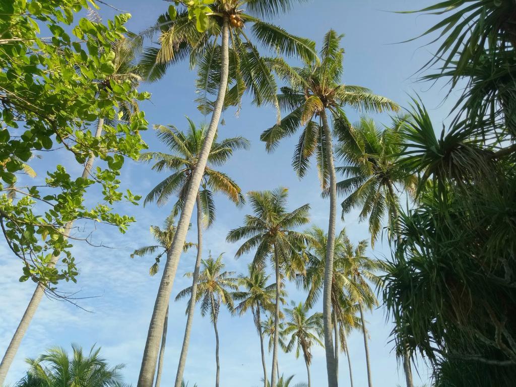 Puri Saron Senggigi Hotel Ngoại thất bức ảnh